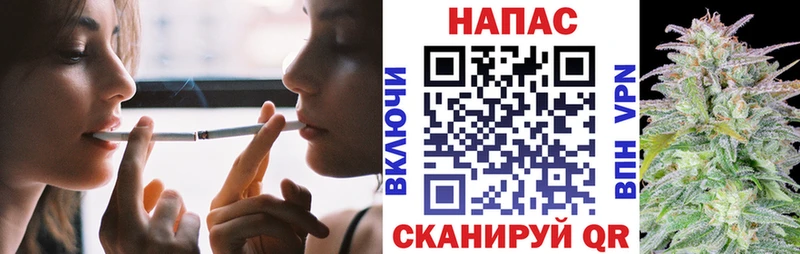 Каннабис план Ардон